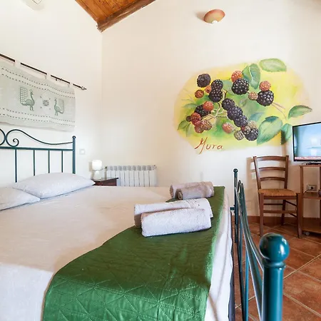Sa Tanchitta Alloggio per agriturismo *