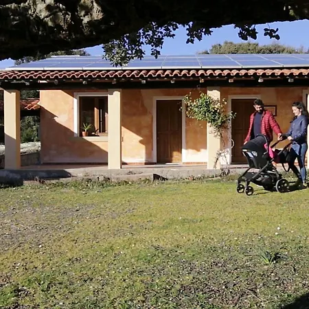 Sa Tanchitta ファームステイ